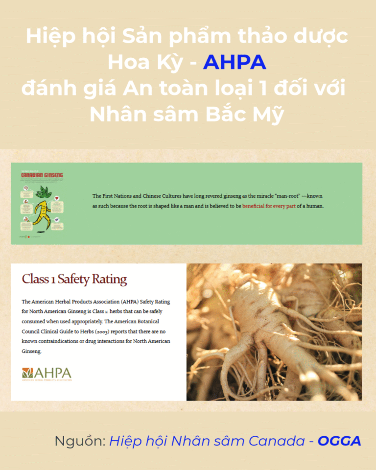 Nhân sâm Bắc Mỹ (Panax quinquefolius) được AHPA xếp an toàn Class 1